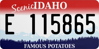 ID license plate E115865
