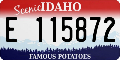 ID license plate E115872