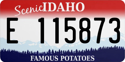 ID license plate E115873