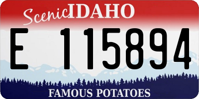ID license plate E115894