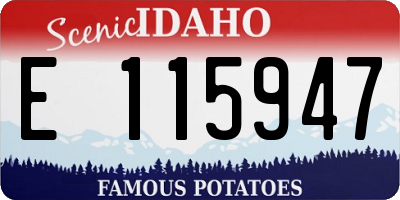 ID license plate E115947