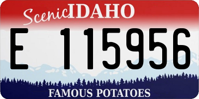 ID license plate E115956
