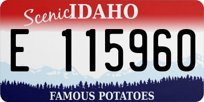 ID license plate E115960