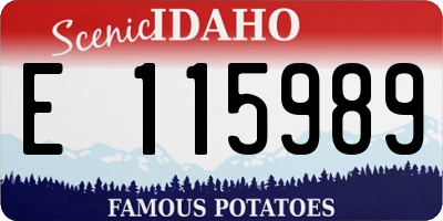 ID license plate E115989