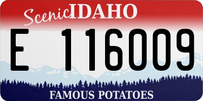 ID license plate E116009