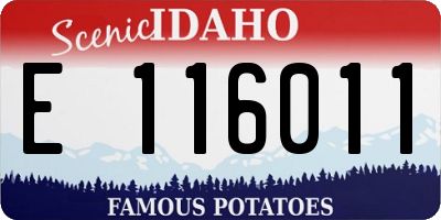 ID license plate E116011
