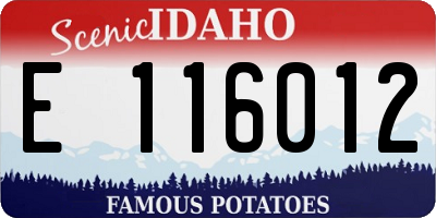 ID license plate E116012