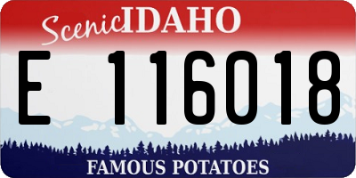 ID license plate E116018