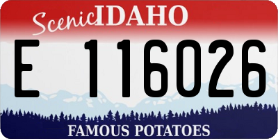 ID license plate E116026