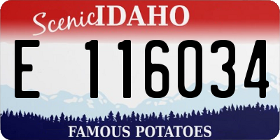 ID license plate E116034