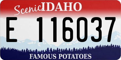 ID license plate E116037