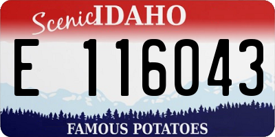 ID license plate E116043