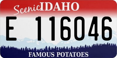 ID license plate E116046