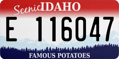 ID license plate E116047