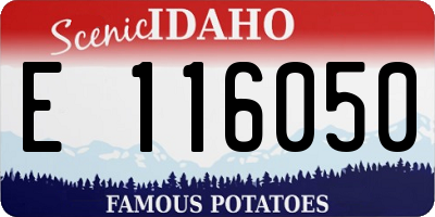 ID license plate E116050