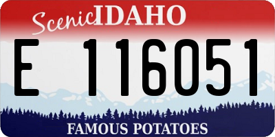ID license plate E116051