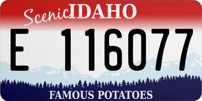 ID license plate E116077
