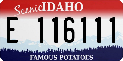 ID license plate E116111