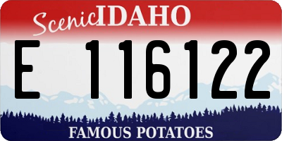 ID license plate E116122