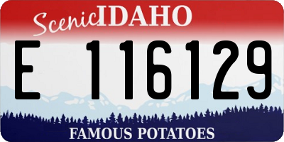 ID license plate E116129