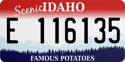 ID license plate E116135
