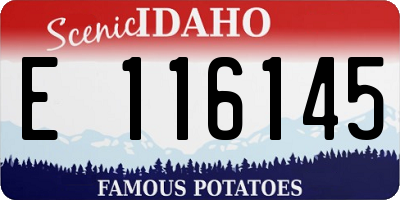 ID license plate E116145