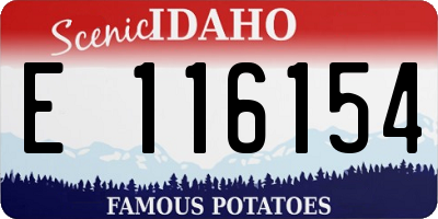 ID license plate E116154