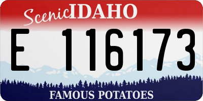 ID license plate E116173