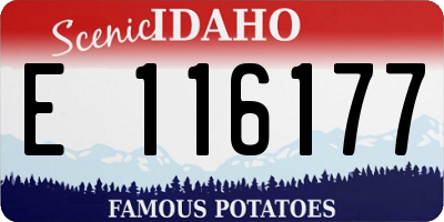 ID license plate E116177