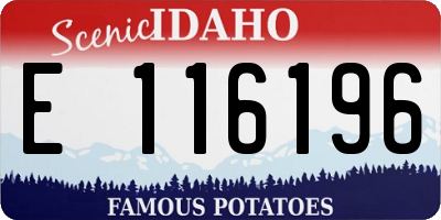 ID license plate E116196