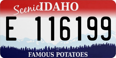 ID license plate E116199