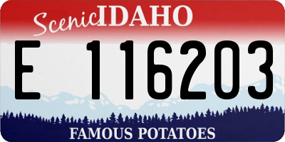 ID license plate E116203
