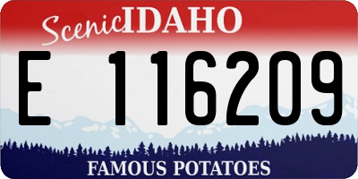 ID license plate E116209
