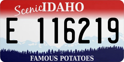 ID license plate E116219
