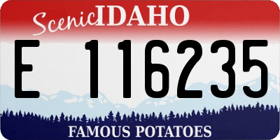 ID license plate E116235