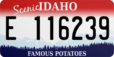 ID license plate E116239