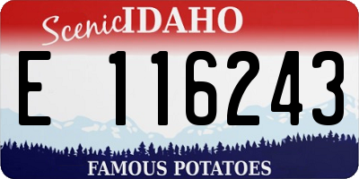 ID license plate E116243