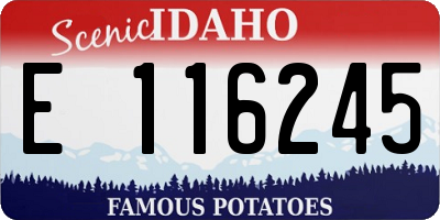 ID license plate E116245
