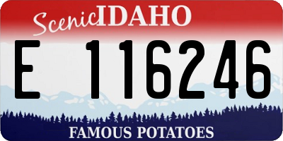 ID license plate E116246
