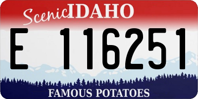 ID license plate E116251