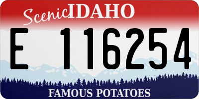 ID license plate E116254