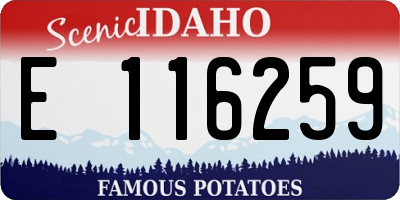 ID license plate E116259