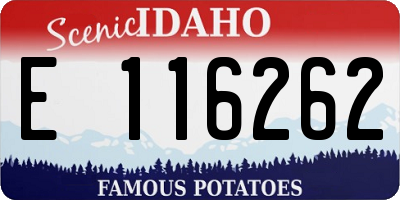 ID license plate E116262