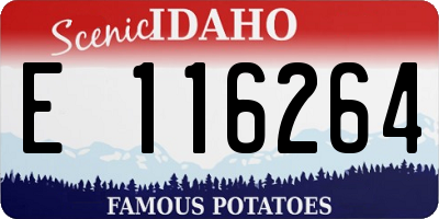 ID license plate E116264
