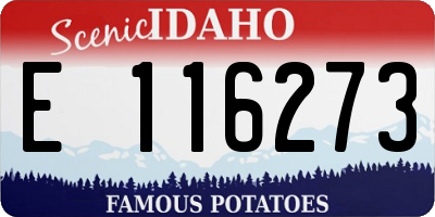 ID license plate E116273