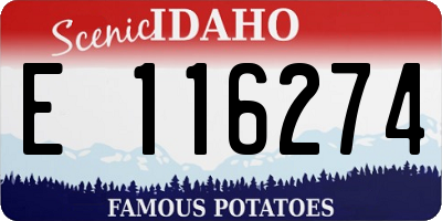 ID license plate E116274