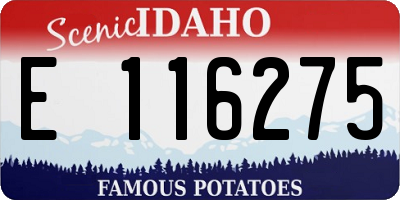 ID license plate E116275