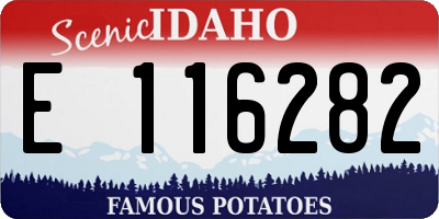 ID license plate E116282