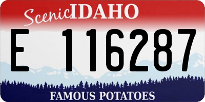 ID license plate E116287
