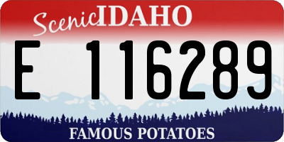 ID license plate E116289
